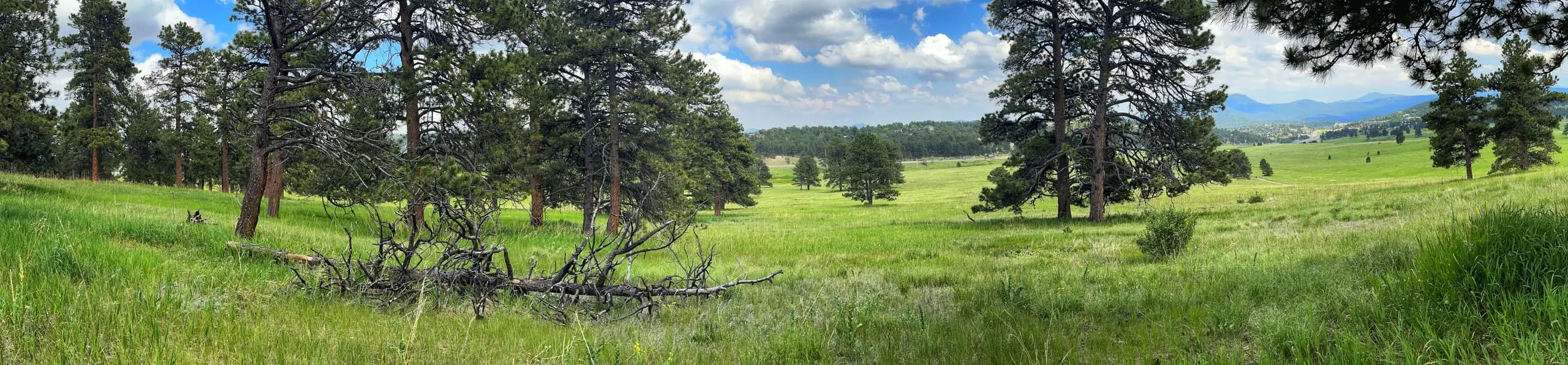 Elk Meadow open space — Evergreen Mountain House